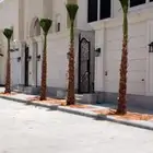 يوجد لدينا نخل واشنطني واسعار مناسبه