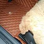 تلبيس ارضيت جميع انواع السيارت