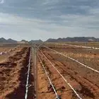 مقول شبك بجميع انواع