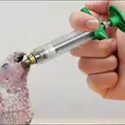 ابره غر لا الطيور حلوه