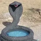 أبو صقر لديكورات والنقشات