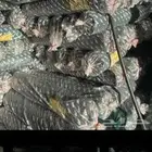 _ شبك ظل ارتفا
