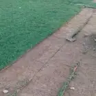ثيل طبيعي صافي ونضيف من المزرعه مباشرة