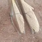 السلام عليكم ورحمه الله وبركاته شهر مبارك وكل عام وانتم بخير