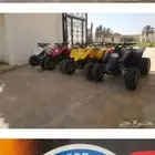 اجار دبابات خيول سياسي حنطور لاالمهرجانات