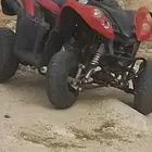 دباب اربع كفرات للبيع