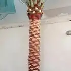تنسيق حدائق جده ومكه