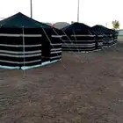خيمة سودة علا شكل بيت شعر