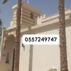 نخيل واشنطن