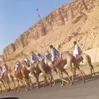 اجار حنطور وخيل وجمال