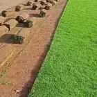 تيل طبيعي