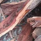 حطب قرض افريقي ممتاز درجه اولى للمندي والحنيز والتدفئه
