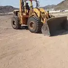 شيول للإيجار بالساعة واليومية بالمدينة الان بمزارع المليليح