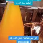 بيع سمن بلدي وحقنه وخلاصه