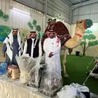 اجار جمال وخيل