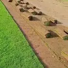 تيل طبيعي شلالات نوافير مظلات