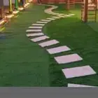 تنسيق حديق وفني شبكات وبيع النخل العربي والزينه والتيل0