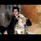 مدرب كلاب الحراسه