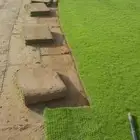ثيل طبيعي سي 2000 فرنسي