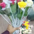 ورد جمله سعر الربطه 30 ريال