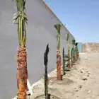 وشنطني لبيع