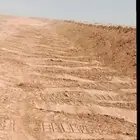 بلدوزرات للايجار تعقيم تسويه تجميع 6