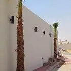 رضا ازبون يزيدك نجاح دقه في الشغل وإنجاز