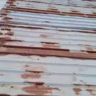 القنفذة