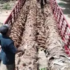 السلام عليكم ورحمه الله وبركاته ابو عبد الله التوريد