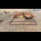 شبكة صيد صغيرة 60 سم في 50 سم