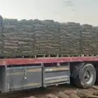 تنسيق حدائق وزراعه التيل