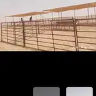 مظلات أبل ثابته ومتحركة معا التواصل وتركيب