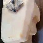 قربة ماء لديتر لكزس ES