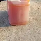 عسل سدر للبيع