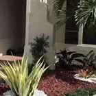 تنسيق حدائق