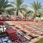 حفلات