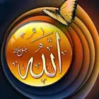 مطلوب لوحه سياره مميزه ثلاثه حروف ورقمين