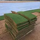 ثيل طبيعي وصناعي أعمال تنسيق وترتيب وصيانه وزراعه متاح لدينا