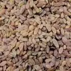 زبيب رزقي يمني للوز البلدي خولاني