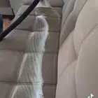 نظافة مكيفات مجالس اتصل نصل فورا