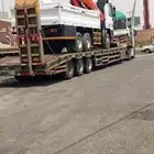 لوبد متواجد في وادي الدواسر