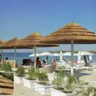 فنون الخيزران توريد وتنفيذ