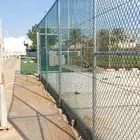 قلع وتوريد النخيل
