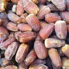 صقعي احمر