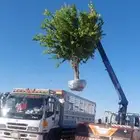 يوجد لدينا برتقال بجميع انواعه
