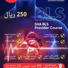 دورة BLS معتمدة من SHA المقاعد محدودة وتمتلئ بسرعة