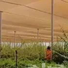 شبك تور سواتر مخيمات سواتر استراحات