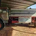 وايت 1980 نقل خاص