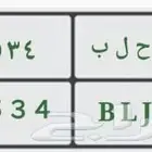 لوحة مميزة لعشاق سوريا مدينة حلب.