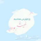 خيركم من تعلم القرآن وعلمه